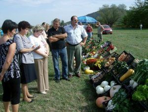 Măsurile de finanțare, mai aproape de fermieri prin Camera Agricolă Mureș
