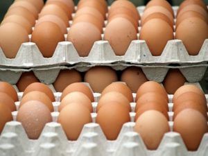 Aproape 5.000 de ouă oferite spre vânzare, fără documente