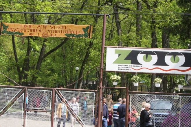 Decont pentru noi animale la ZOO