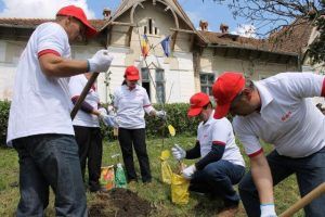 Voluntarii E.ON au plantat o livadă de pomi fructiferi