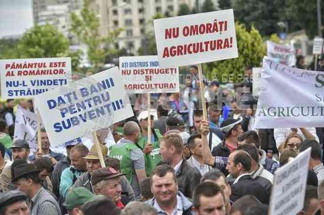 Ministrul Agriculturii promite fermierilor că vor primi integral subvențiile până la finalul lunii iunie