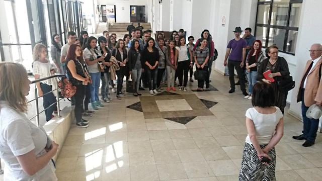 Elevii Liceului Gh.Marinescu, vizită de studiu la Sibiu