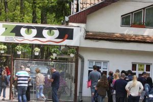 23 august: Ziua Porților Deschise – 55 de ani de la înființarea Grădinii Zoologice din Târgu Mureș!