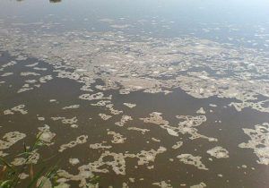 VIDEO: Râul Mureş, poluat în amonte de Barajul Mare