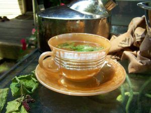 Beneficiile ceaiului din frunze de dud