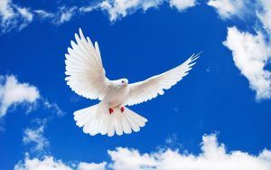 Ziua mondială a păcii
