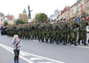 FOTO: Fără discursuri politice de Ziua Armatei Române
