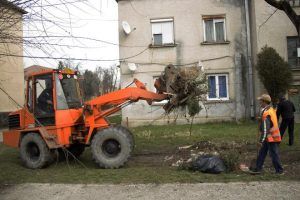 Primăria Târgu-Mureş a dat startul la curăţenia de toamnă!