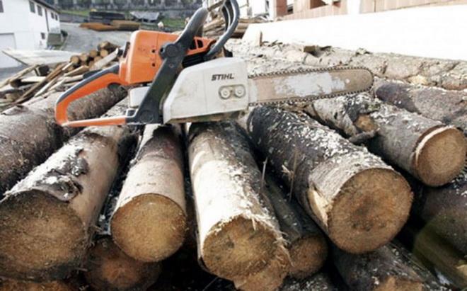 Măsuri pentru combaterea tăierilor ilegale de păduri