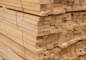 Cadrul legal pentru sistemul care asigură trasabilitatea materialelor lemnoase (SUMAL), aprobat de Guvern