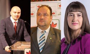 Trei parlamentari de Mureș în comisiile pentru învăţământ, ştiinţă, tineret şi sport