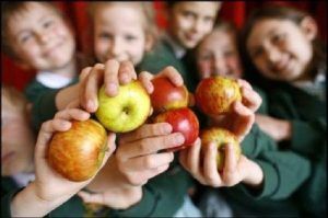 Licitaţie pentru mere în şcoli, demarată de Consiliul Judeţean Mureş