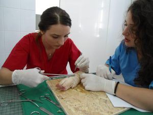 Un nou workshop al tinerilor chirurgi din Târgu-Mureș