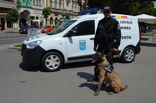 Poliţia Locală Târgu-Mureş, la raport