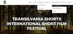 Festival de scurtmetraje, Transilvania Shorts, în weekend la Arta