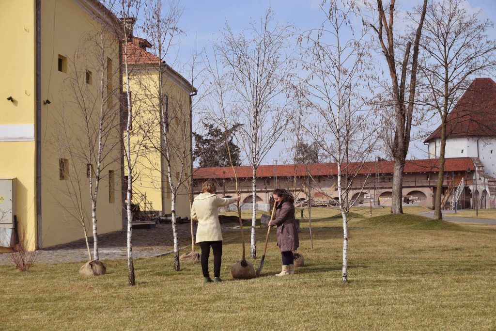 Cetatea Medievală întâmpină vizitatorii cu o nouă „față”!