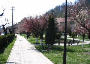 Lucrări de amenajare și întreținere a spațiilor verzi din Sighișoara