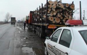 Măsuri noi pentru combaterea tăierilor ilegale de păduri