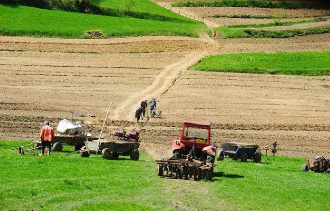 APIA Mureş, comunicat important pentru fermieri