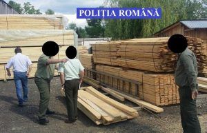 FOTO: Material lemnos fără provenienţă legală, confiscat. Amenzi de peste 31.000 de lei!