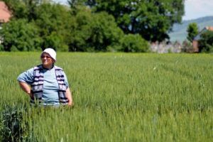 FOTO: Inginerul agronom Iustina Lobonțiu, o viață dedicată cercetării agricole