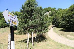 Asociația Națională a Salvatorilor Montani din România a încheiat refacerea marcajelor a 300 de trasee turistice montane