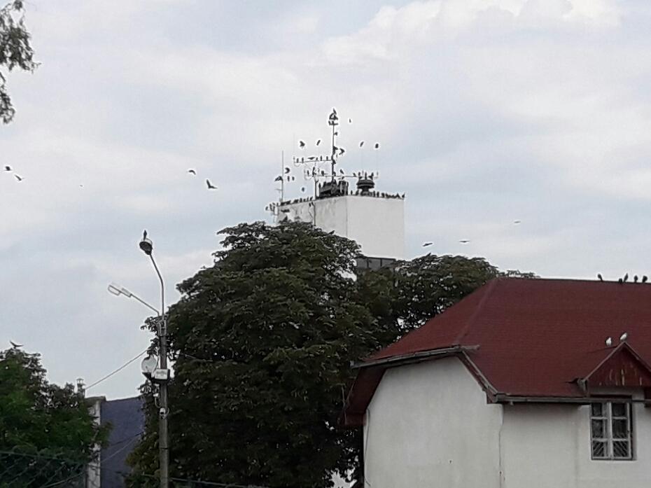 Se zboară pe Aeroportul Transilvania Tîrgu Mureş!?