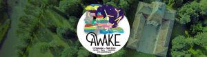 Mai sunt 4 zile până la Awake Festival