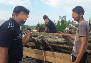 Transport ilicit de lemne în Hodac