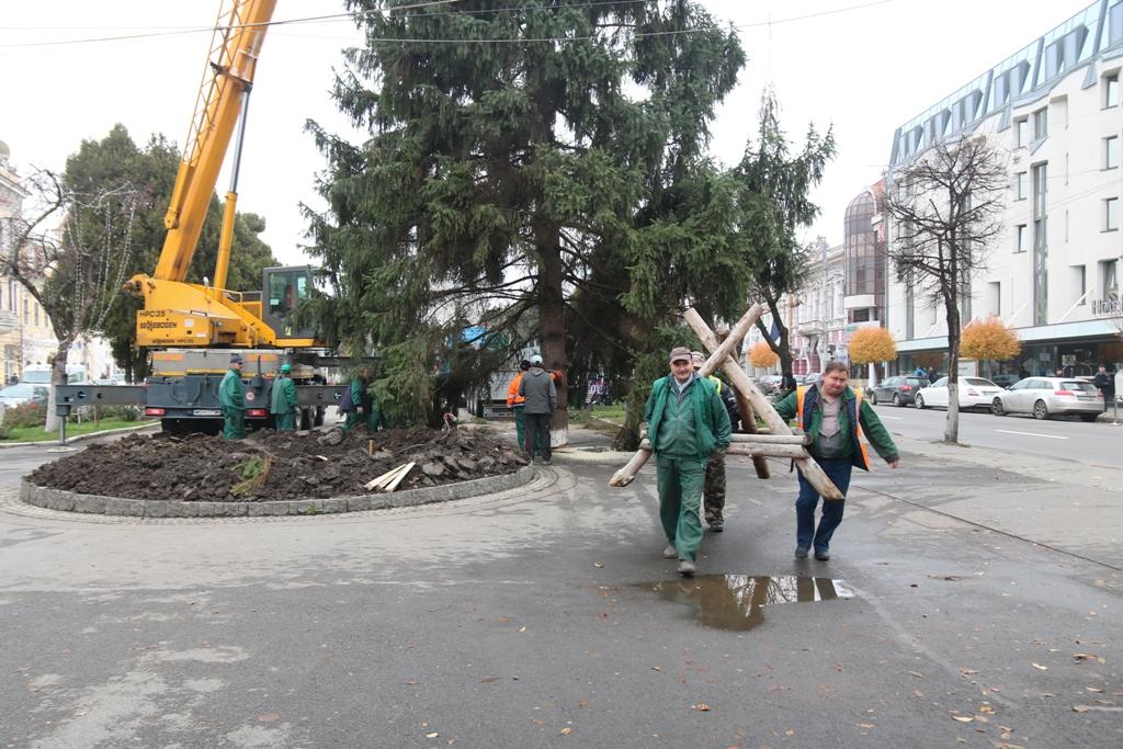 FOTO-VIDEO: Bradul de Crăciun montat în centrul Târgu Mureșului