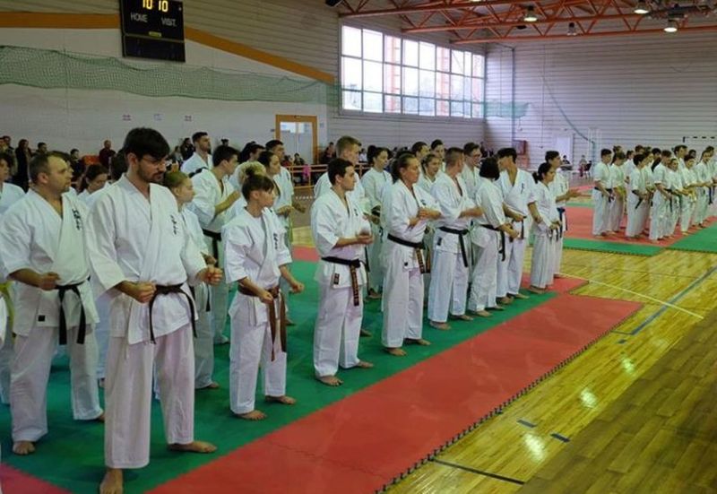 18 medalii pentru „Tiger Budo” la Cupa României