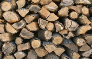 Material lemnos confiscat la Sovata
