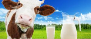Beneficiile laptelui în funcție de specia de proveniență