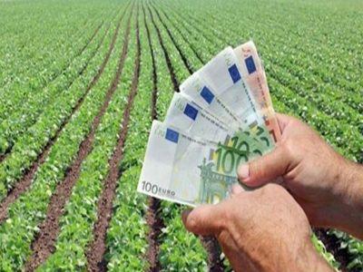 Modificări aduse legislației ce reglementează schemele de plăți în agricultură