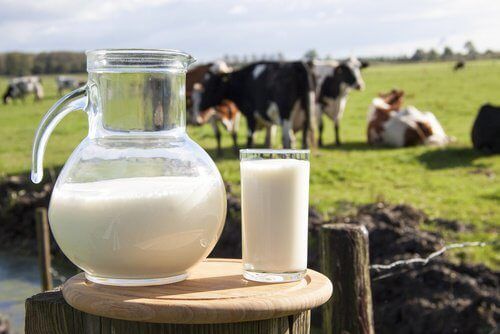 1.028.333 tone de lapte de vacă colectat la nivel național în anul precedent