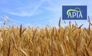 APIA Mureș anunță: Plata pentru practici agricole benefice pentru climă și mediu 2018 (Înverzire)