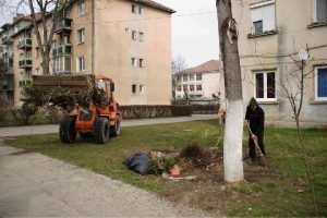 Curățenie generală de primăvară la Târgu-Mureș
