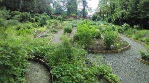 70 de ani de la înfiinţarea grădinii Botanice a UMF Târgu-Mureş