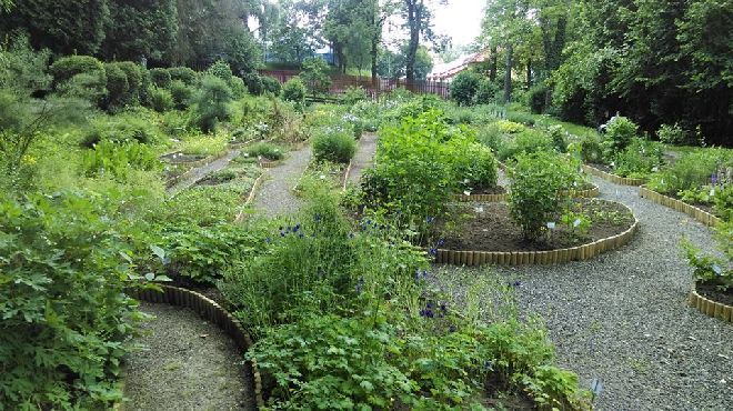 70 de ani de la înfiinţarea grădinii Botanice a UMF Târgu-Mureş