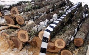 175 de metri steri de lemn confiscaţi de poliţiştii din Mureş