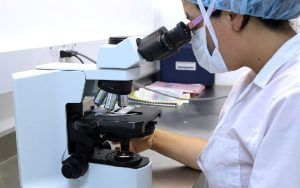 Colaborare între cercetătorii Universităţii Sapienţia şi UMF Târgu-Mureş. Experimente de succes pentru tratamentul eficient al malariei