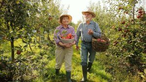 Vot la Bruxelles: Stimulente de pensionare pentru fermierii în vârstă, subvenții suplimentare pentru cei tineri!