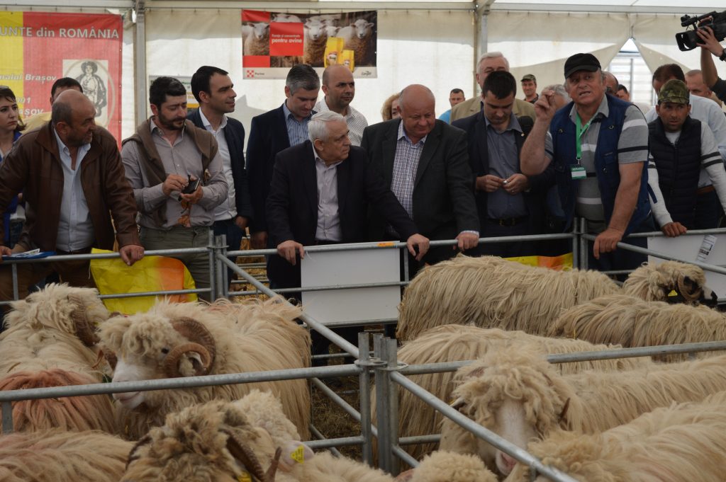 VIDEO: „Oaie la groapă” preparată la Agraria2018, lăudată de Petre Daea