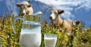 Petre Daea, mesaj pentru producătorii de lapte