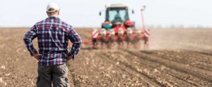 Subvenţii achitate pentru 98,12% dintre fermieri! Ce spune APIA despre softul de plăţi