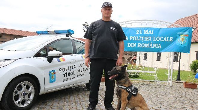 Tyson, singurul câine „poliţist local” din Târgu-Mureş