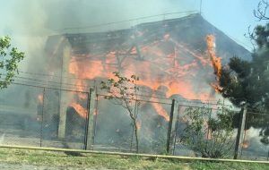 EXCLUSIV! Martor la incendiul de la Hipodrom: „Focul a fost provocat, exclus de la o ţigară, iar hidranţii din zonă erau nefuncţionali!”