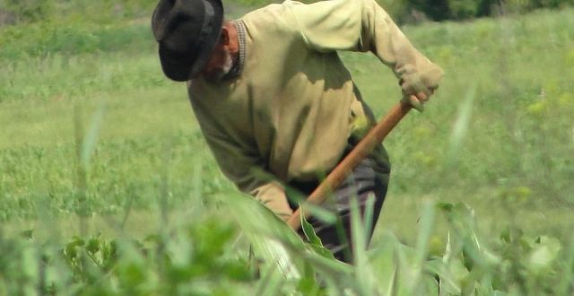 Îmbătrânirea, o problemă serioasă în agricultura românească