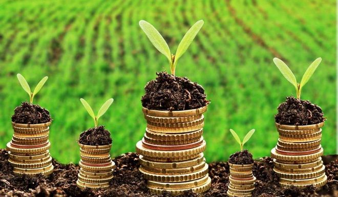 La UMF Târgu-Mureș se va înființa o bancă de semințe