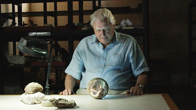 „Attenborough şi Dinozaurul gigantic“ închide British Documentary la Târgu-Mureș